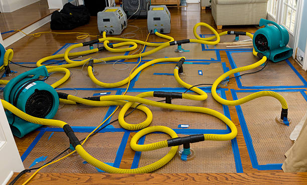 Professional Sewage Cleanup technician working in Flanders, NJ